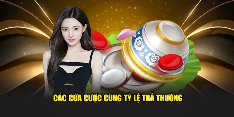 Các cửa cược cùng kèm theo tỷ lệ trả thưởng