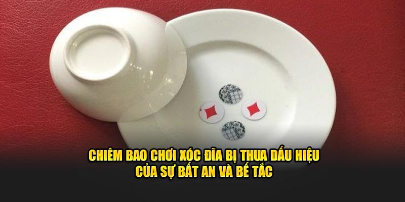 Nằm mơ đánh xóc đĩa đánh con gì khi mộng báo thua nhiều